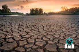 Los glaciares se han encogido, el hielo en los ríos y lagos se está derritiendo antes de tiempo, los hábitats de plantas y animales han cambiado y los árboles florecen antes. El Cambio Climatico Causas Y Consecuencias Gaia Tierra Viva
