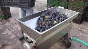 Suport pentru sticla de vin, model culegator struguri suportul pentru sticla de vin de la nago. Zdrobitor Desciorchinator Struguri Separator De Ciorchine Fermier Ro Youtube