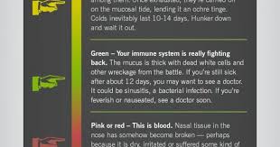 What It Means When Your Snot Is Green Cleveland Clinic Health Respiratory Therapy