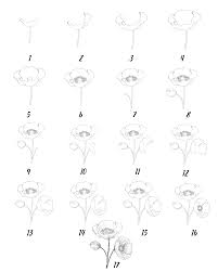 Aug 07, 2017 · align the edge of the ruler with the edge of the fabric and slowly pivot the ruler to draw in the waist. 13 Easy Steps Poppy Flower Drawing Realistic Poppy Flower Art Drawwiki