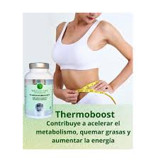 NATURVENT THERMOBOOST