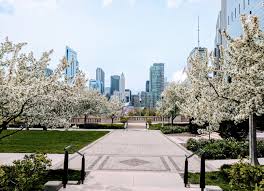 We did not find results for: Types Of Flowering Trees You Will See This Spring In The Chicago Area