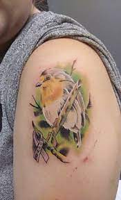 Bearded lady tattoo studio 75 main street, ayr, ka8 8bu 48.24 miles from the centre of dumfries dumfriesshire 48.24 miles from the centre of dumfries dumfriesshire Bearded Lady Tattoo Beardedladyts Twitter