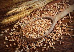 Le Ble De La Sainte Barbe Intolerance Au Gluten Fete Francaise Sans Gluten