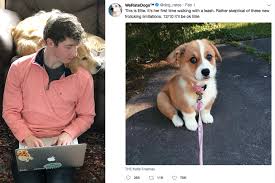 Weratedogs Twitter Who Runs It And How Much Is It Worth Money .dog dog cute cat cat dog high definition picture animal animals pet cats pets creative picture dogs stock photos we have about (3,251 files) free stock photos in hd high resolution jpg images format. weratedogs twitter who runs it and how