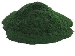 jual spirulina serbuk bubuk powder curah murah spirulina curah di solo jawa tengah jual spirulina serbuk bubuk powder