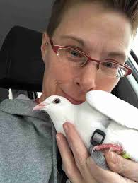 What Can Really Happen To 'Wedding Doves' After They Fly Away -