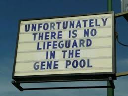 Unfortunately There Is No Lifeguard In The Gene Pool Funny Quotes Funny Humor