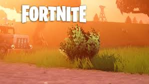 Below is a list of all currently unreleased items in fortnite battle royale, they may be released through a future update or added to the item shop and are subject to change. Fortnite Leak Suggests The Rift To Go And Bush Will Return Fortnitebr News Latest Fortnite News Leaks Updates