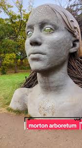 Morton Arboretum Noserville