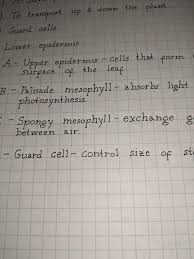 As its name suggests, hasty tasty looks like a hastily penned down recipe, a quickly jotted down note. I Tried To Make My Handwriting Be Inspired By Times New Roman Font Handwriting