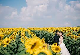Looking for the best flower gardens wallpapers? Hd Wallpaper Beautiful Flowers Blue Sky Bride And Groom Couple Flower Garden Wallpaper Flare