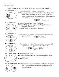 Biology For A Changing World 3rd Edition Chapter 1 Cell Cycle Worksheets Middle School Biology Worksheet Mitosis Cell Cycle