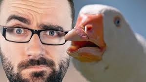 How to make a Dolan Dark inspired meme