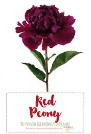 Learn about more than 40 types of red flowers including amaryllis, gerbera daisies, red roses and more, plus find the optimal level of sun and soil type. Names And Types Of Red Wedding Flowers With Seasons Pics