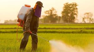 Check spelling or type a new query. How Toxic Is The World S Most Popular Herbicide Roundup The Scientist Magazine