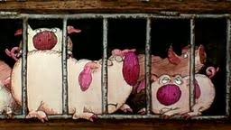 Unterwegs mit piggeldy und frederick 02 von dieter loewe. Piggeldy Und Frederick Deutsch Videos Yabla Deutsch