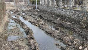 We did not find results for: Garda Nationala De Mediu Constanta Doarme Specii Protejate In Pericol