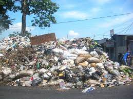 Seperti yang dikatakan komite komunikasi internasional tokyo lalu bagaimana pengolahannya setelah dibawah oleh truk sampah? Saya Tak Suka Buang Sampah Merata Rata Posts Facebook