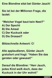eine blondine sitzt bei gunter jauch lustige bilder spruche witze echt lustig lustige spruche witze witzige spruche