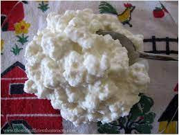 How To Make Cottage Cheese From Sour Milk The Self Sufficient Homeacre Raw Milk Recipes Sour Milk Recipes Homemade Cottage Cheese