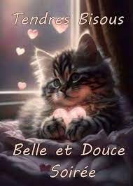 Bonne soirée et douce nuit bisous | Facebook