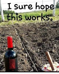 Weekend Gardening Project Wine Humor Wineglasswriter Meme Wine Jokes Wine Quotes Funny Wine Quotes