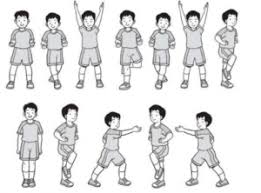 Mengencangkan otot lengan jadi salah satu latihan untuk salah satu gerakan terkenal yang bisa melatih banyak otot sekaligus adalah burpees. 5 Gerakan Senam Kebugaran Beserta Gambarnya Haloedukasi Com
