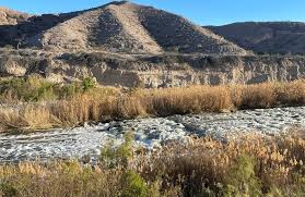 Las Vegas Wetlands Trail, Nevada