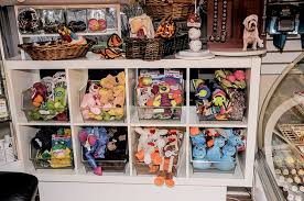 The High Life For Dogs Little Silver Groomer Takes Holistic Approach Two River Times