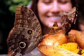 MyWheaton • Wheaton magazine