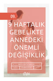 kapsamli ay ay ve hafta hafta tum hamilelik belirtileri listesi 9 haftalik gebelik hamilelik bebek cinsiyeti