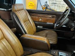 Image result for Mink Brown 1984 Chrysler