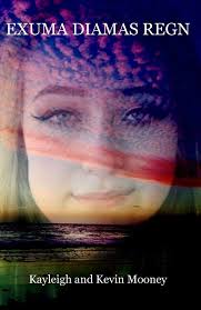 Ted Mooney Traffic & Laughter by Ted Mooney, Paperback