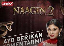 & seterusnya terjadilah perihal yg diharapkan.?. Foto Hot Model Mata Lensa Antv Terbaru 2019 23 Ide Modeling Pose Mode Pose Selfie Lensa Gratis Untuk Komersial Tidak Perlu Kredit Bebas Hak Cipta Diariayahibu