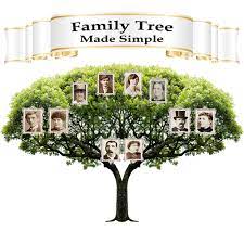 Then add parents, children, partners, siblings and more. Amazon Com Family Tree Made Simple Appstore For Android