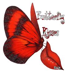  17 Ide Semby Kutipan Pelajaran Hidup Kutipan Buku Kata Kata Motivasi