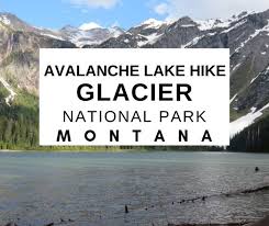 It should be easy to follow once the snow has melted. Avalanche Lake Hike In Montana S Beautiful Glacier National Park