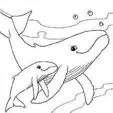 Sea Animals A Whale Withe Her Baby Animals Coloring Page Whale Coloring Pages Animal Coloring Pages Baby Coloring Pages