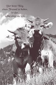 Es gibt freundschaften, die sind wie eine ehe. 30 Juli Internationaler Tag Der Freundschaft Spruche Uber Freundschaft Internationaler Tag Der Freundschaft Freundschaft