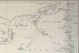 Image result for Nectaropetalum carvalhoi