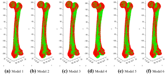 Burr department of anatomy and cell as long bone growth occurs, cells progress through the different zones. Reconstruction Individual Three Dimensional Model Of Fractured Long Bone Based On Feature Points Springerlink