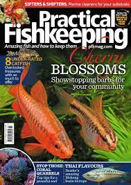 See more ideas about fantasy art, art, creature art. 18dfvdfv By Svfadsvda Issuu