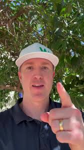 Ever heard of Al Beadle?? He was a killer American-Modernist architect here  in Phoenix who this home was inspired by. The project was taken