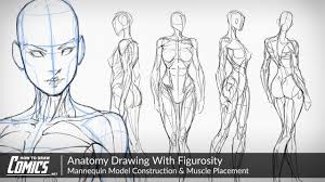 Anatomy Drawing With Figurosity Mannequin Muscle Placement Paintingtube Everyone knows doom is just around the corner for some key players. anatomy drawing with figurosity mannequin muscle placement