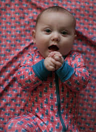 STX Archery & Outdoors