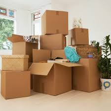 Turn your house into an oasis thanks to these plant delivery companies. How To Move Long Distances With Plants Apartment Therapy