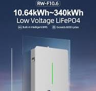 buy DEYE RW-F10.6 LiFePO4 51.2V 208AH 10.64 KWH Wall Mounted ...