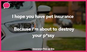 Here are the best funny pick up lines to use on your crush: 50 Insurance Pick Up Lines The Pickup Lines