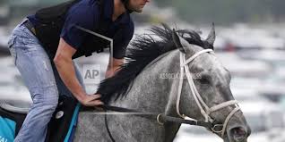 Put down the 153rd running of the belmont stakes, scheduled for saturday night from elmont, ny, as another here is how the field is shaking up with the morning lines: R69su0xswbeavm